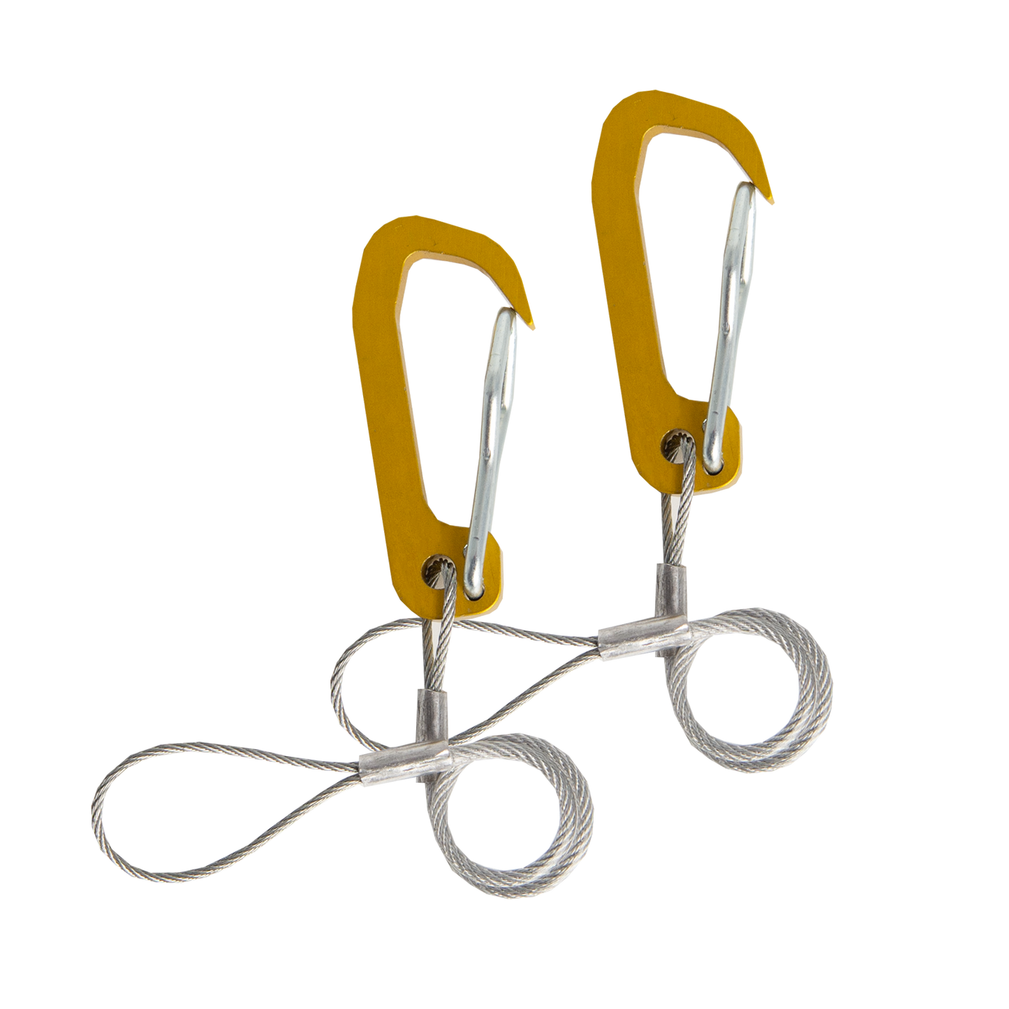 Coil Leashes