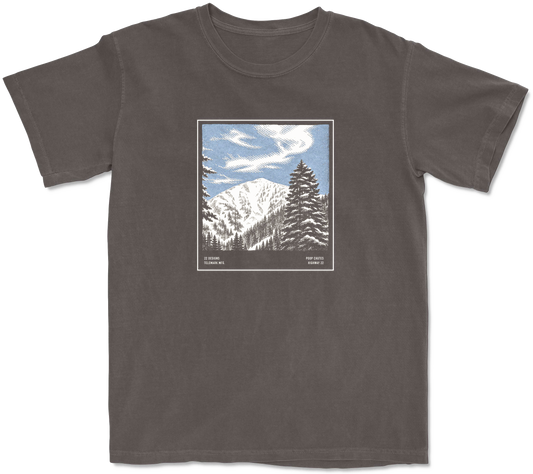 22D Chute Tshirt
